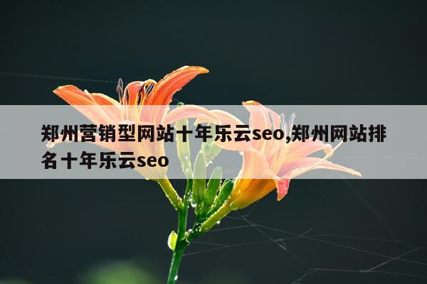 郑州营销型网站十年乐云seo,郑州网站排名十年乐云seo