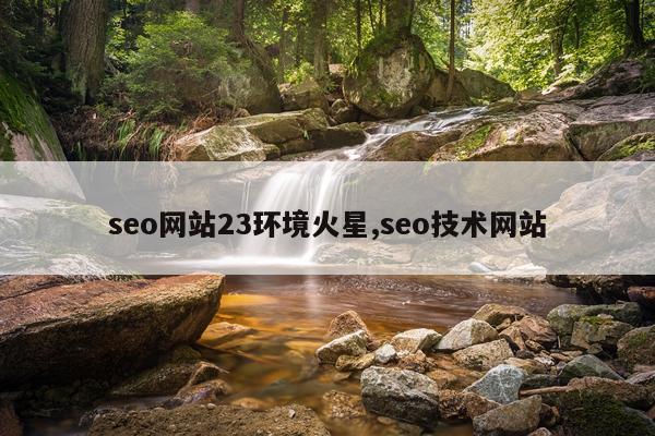 seo网站23环境火星,seo技术网站