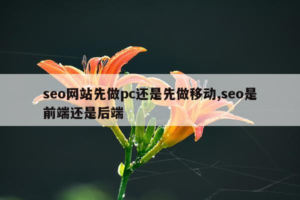 seo网站先做pc还是先做移动,seo是前端还是后端