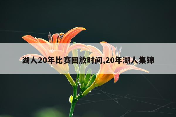 湖人20年比赛回放时间,20年湖人集锦