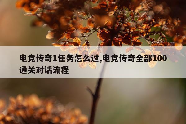 电竞传奇1任务怎么过,电竞传奇全部100通关对话流程