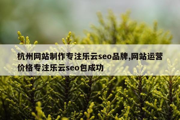 杭州网站制作专注乐云seo品牌,网站运营价格专注乐云seo包成功