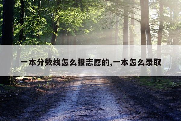 一本分数线怎么报志愿的,一本怎么录取