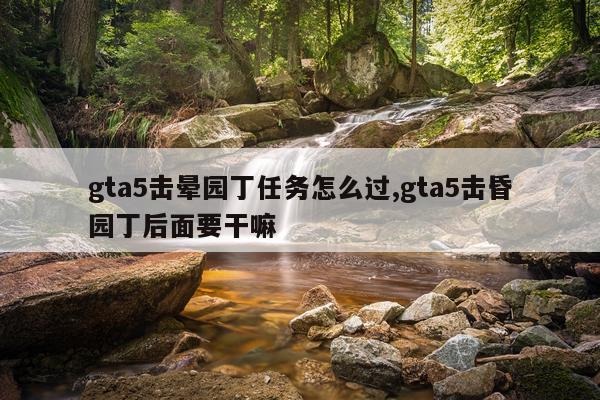 gta5击晕园丁任务怎么过,gta5击昏园丁后面要干嘛