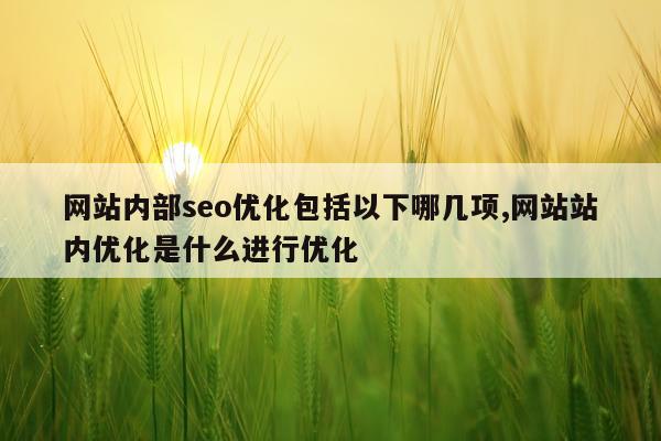 网站内部seo优化包括以下哪几项,网站站内优化是什么进行优化
