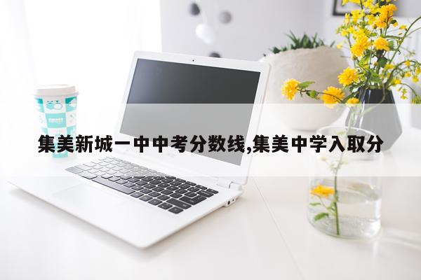 集美新城一中中考分数线,集美中学入取分
