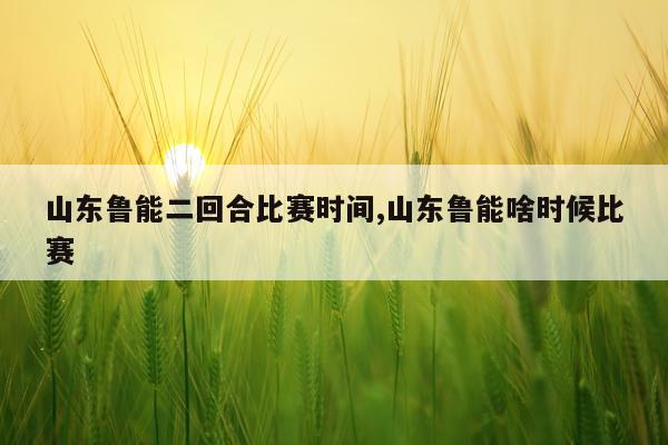 山东鲁能二回合比赛时间,山东鲁能啥时候比赛