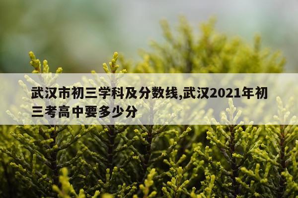 武汉市初三学科及分数线,武汉2021年初三考高中要多少分