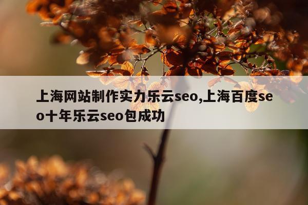 上海网站制作实力乐云seo,上海百度seo十年乐云seo包成功
