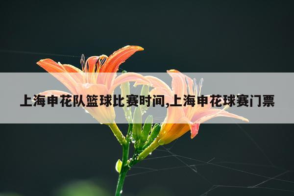 上海申花队篮球比赛时间,上海申花球赛门票