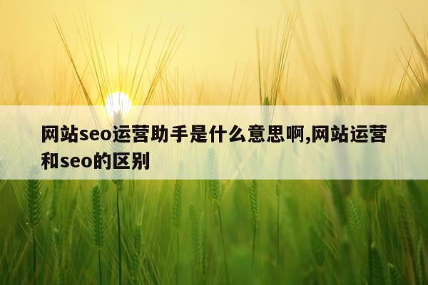 网站seo运营助手是什么意思啊,网站运营和seo的区别