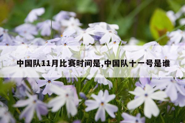中国队11月比赛时间是,中国队十一号是谁