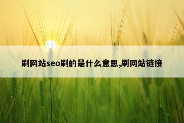 刷网站seo刷的是什么意思,刷网站链接