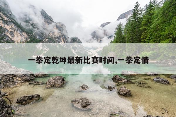 一拳定乾坤最新比赛时间,一拳定情