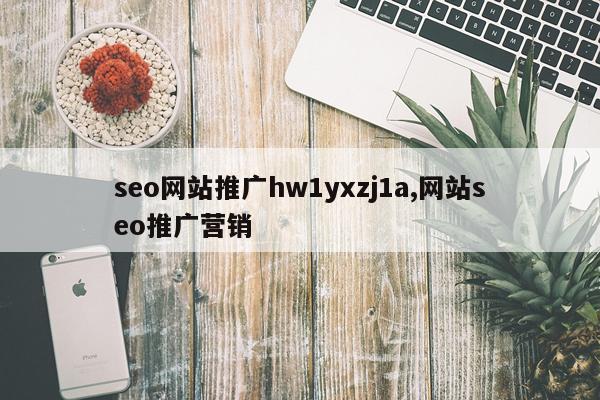 seo网站推广hw1yxzj1a,网站seo推广营销