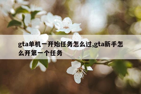 gta单机一开始任务怎么过,gta新手怎么开第一个任务