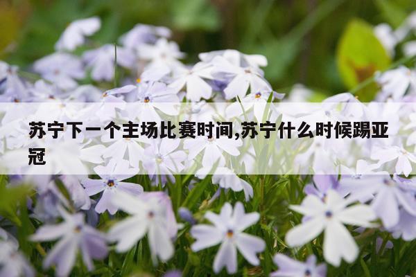 苏宁下一个主场比赛时间,苏宁什么时候踢亚冠