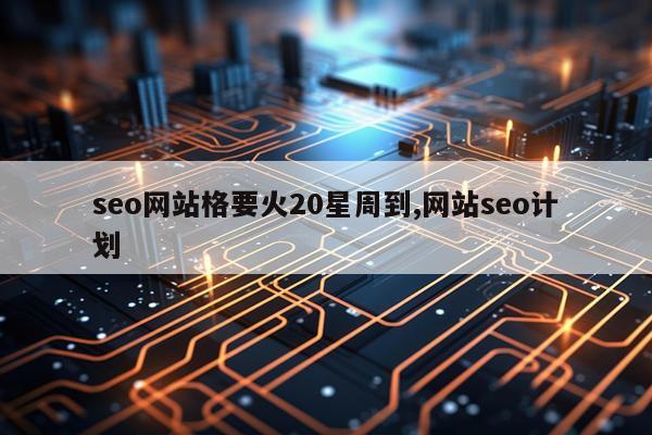 seo网站格要火20星周到,网站seo计划
