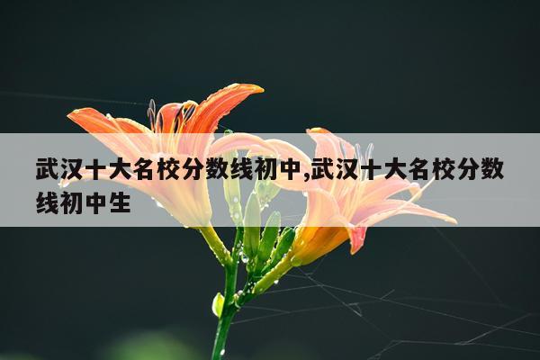 武汉十大名校分数线初中,武汉十大名校分数线初中生