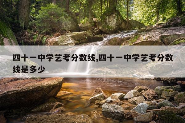 四十一中学艺考分数线,四十一中学艺考分数线是多少