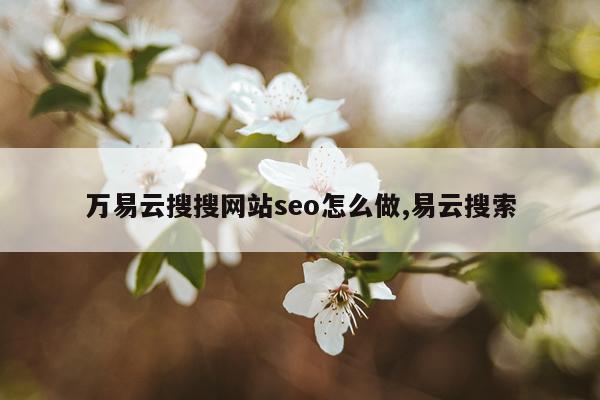 万易云搜搜网站seo怎么做,易云搜索