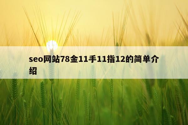 seo网站78金11手11指12的简单介绍