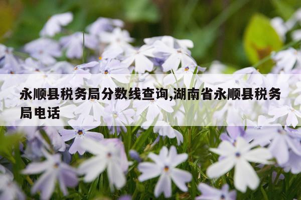 永顺县税务局分数线查询,湖南省永顺县税务局电话