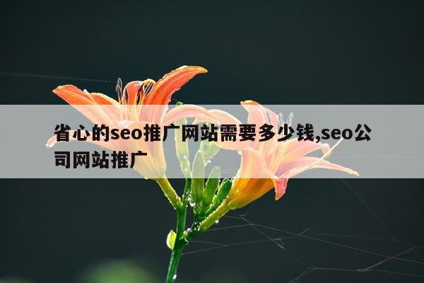 省心的seo推广网站需要多少钱,seo公司网站推广