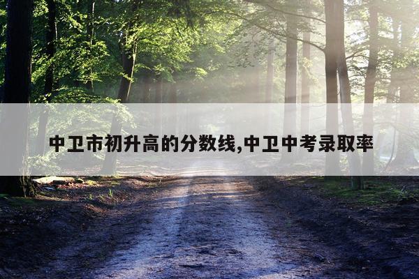 中卫市初升高的分数线,中卫中考录取率