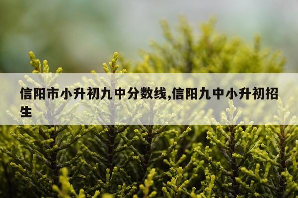 信阳市小升初九中分数线,信阳九中小升初招生