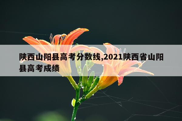 陕西山阳县高考分数线,2021陕西省山阳县高考成绩