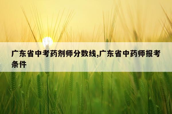 广东省中考药剂师分数线,广东省中药师报考条件