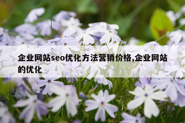 企业网站seo优化方法营销价格,企业网站的优化