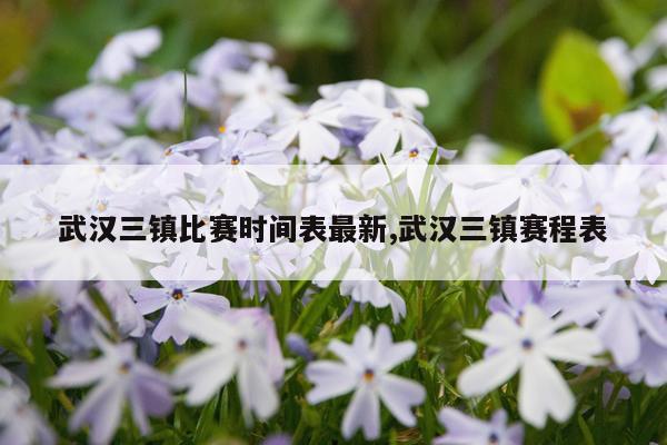 武汉三镇比赛时间表最新,武汉三镇赛程表