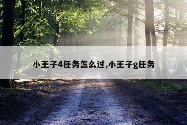 小王子4任务怎么过,小王子g任务