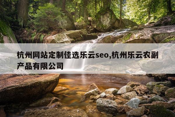 杭州网站定制佳选乐云seo,杭州乐云农副产品有限公司