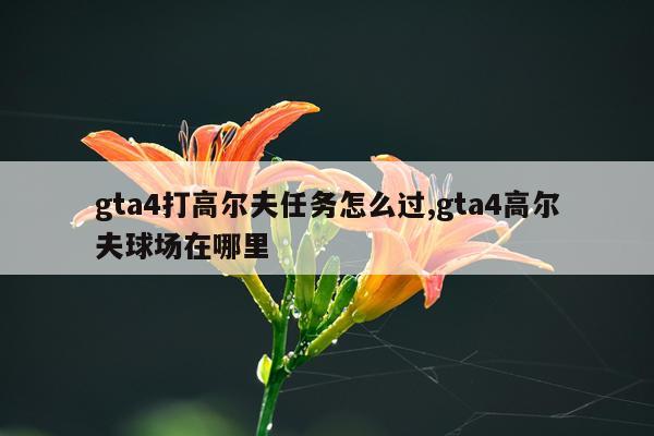 gta4打高尔夫任务怎么过,gta4高尔夫球场在哪里