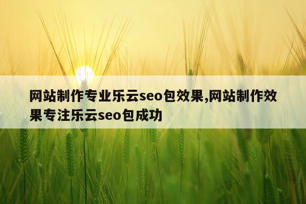 网站制作专业乐云seo包效果,网站制作效果专注乐云seo包成功