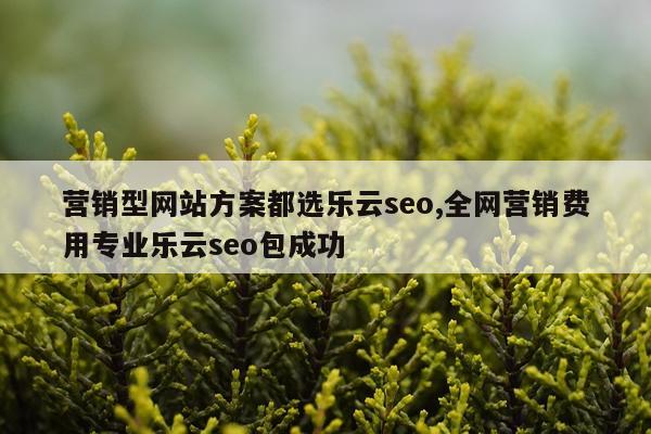 营销型网站方案都选乐云seo,全网营销费用专业乐云seo包成功