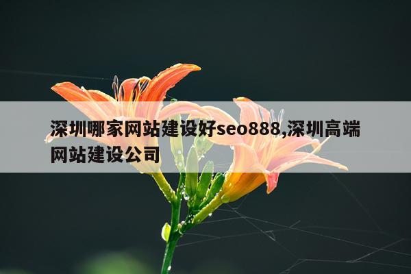 深圳哪家网站建设好seo888,深圳高端网站建设公司