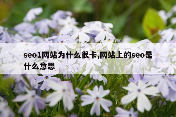seo1网站为什么很卡,网站上的seo是什么意思