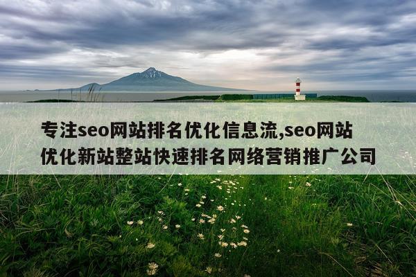 专注seo网站排名优化信息流,seo网站优化新站整站快速排名网络营销推广公司