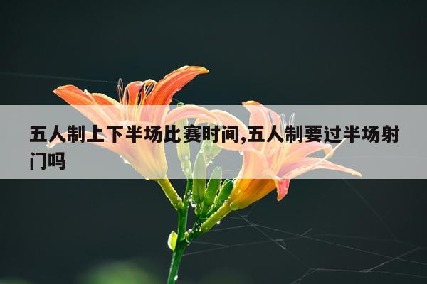 五人制上下半场比赛时间,五人制要过半场射门吗