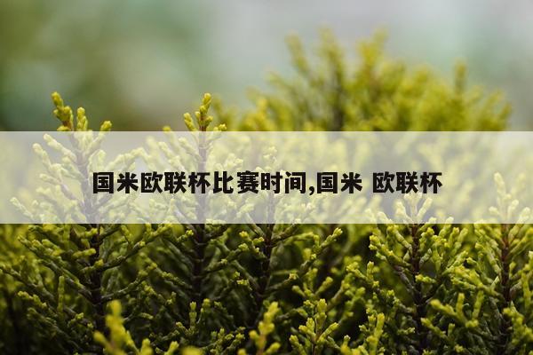 国米欧联杯比赛时间,国米 欧联杯
