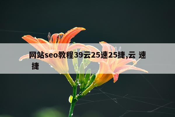 网站seo教程39云25速25捷,云 速 捷
