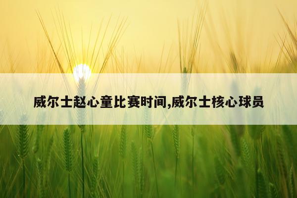威尔士赵心童比赛时间,威尔士核心球员