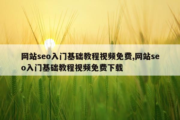 网站seo入门基础教程视频免费,网站seo入门基础教程视频免费下载