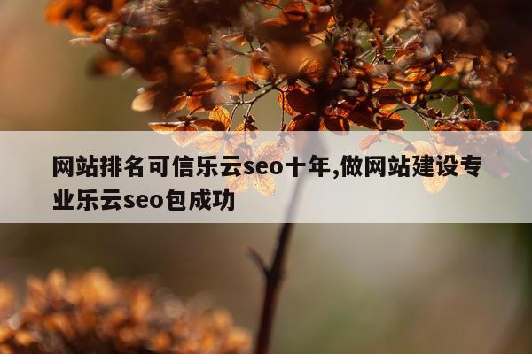 网站排名可信乐云seo十年,做网站建设专业乐云seo包成功