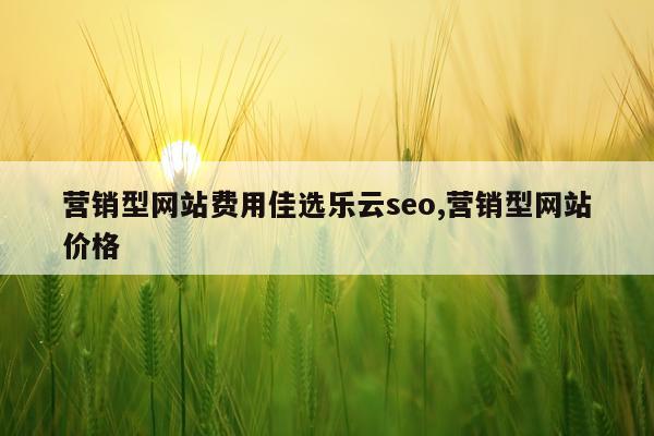 营销型网站费用佳选乐云seo,营销型网站价格