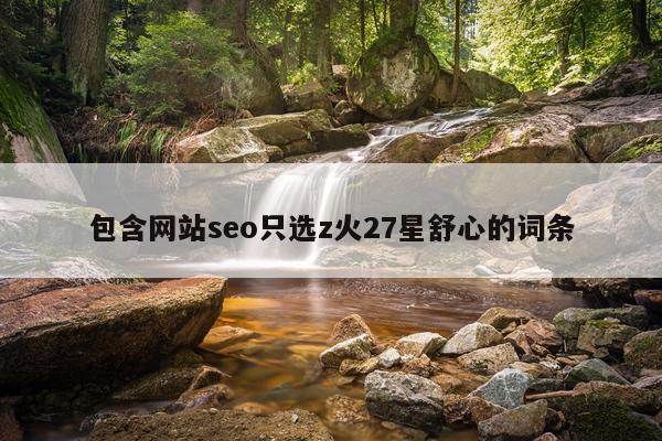 包含网站seo只选z火27星舒心的词条